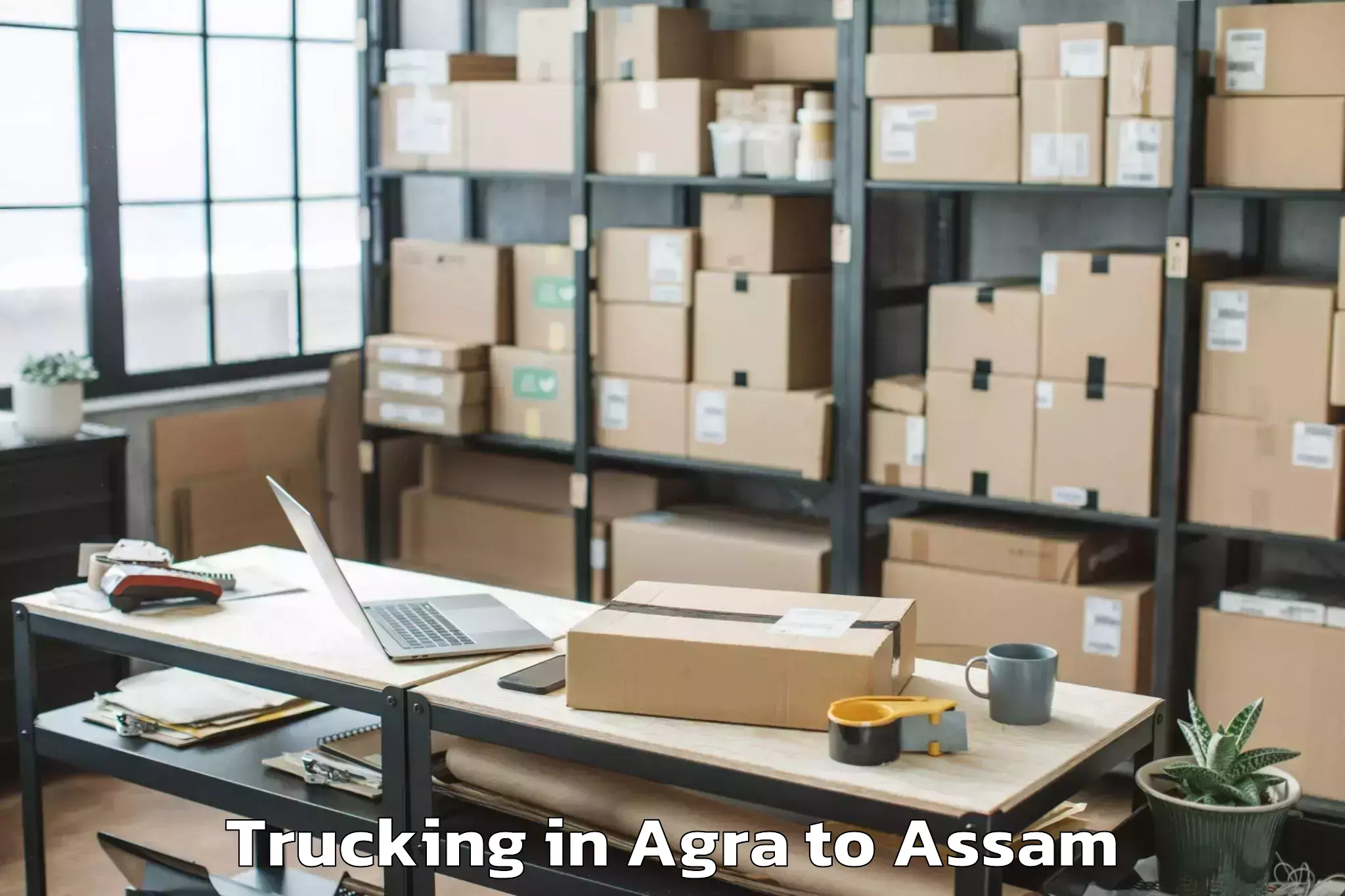 Agra to Ramkrishna Nagar Karimganj Trucking Booking